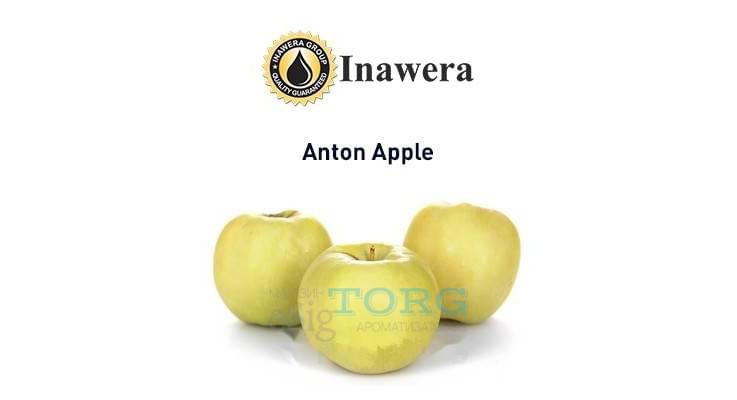 Ароматизатор Inawera Anton Apple