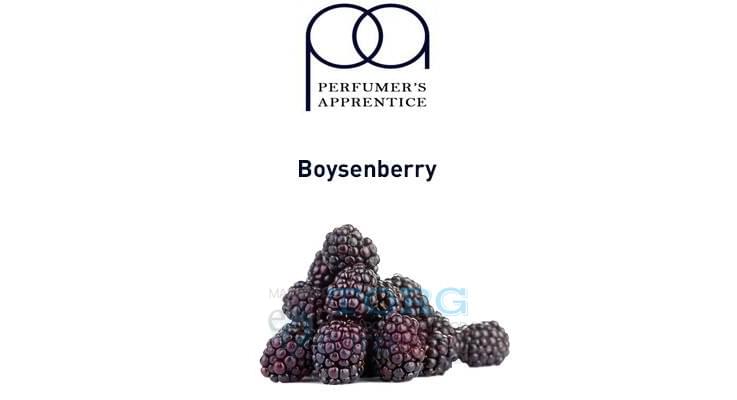 Ароматизатор TPA Boysenberry