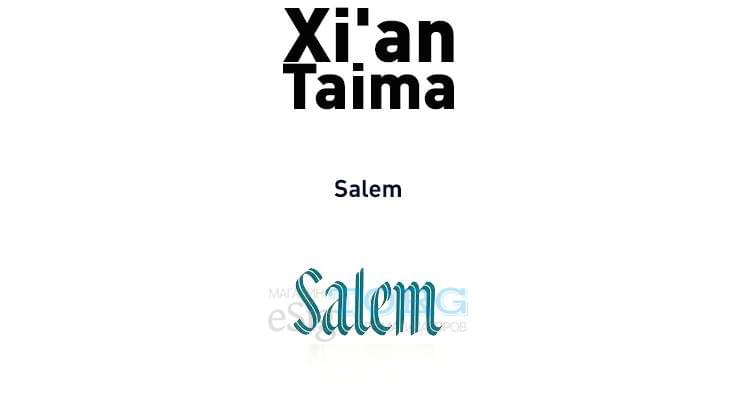 Ароматизатор Xi'an Taima Salem